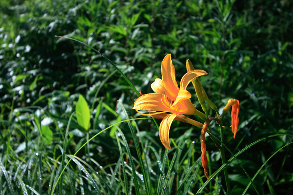c0228945_527853.jpg