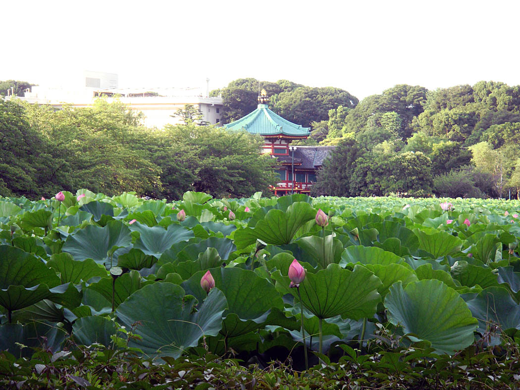 e0185645_0263584.jpg