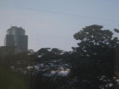 a0087146_824676.jpg