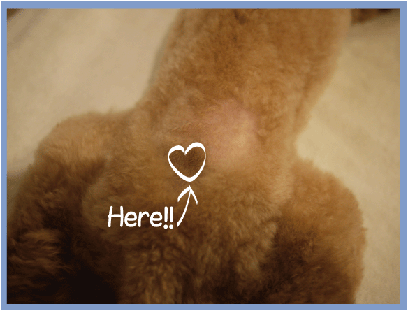 b0182846_1635421.gif