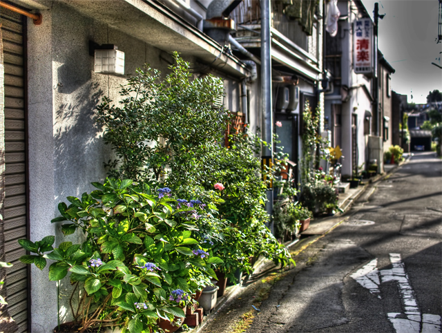 b0135347_2249519.jpg