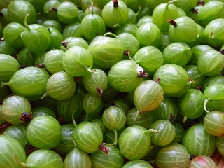 e0004756_21384362.jpg