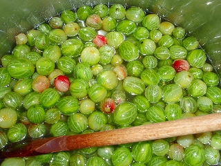 e0004756_21394215.jpg