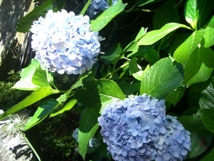 f0082356_20294432.jpg
