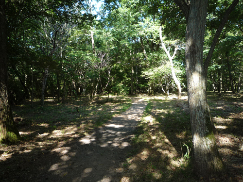 b0045357_10415519.jpg