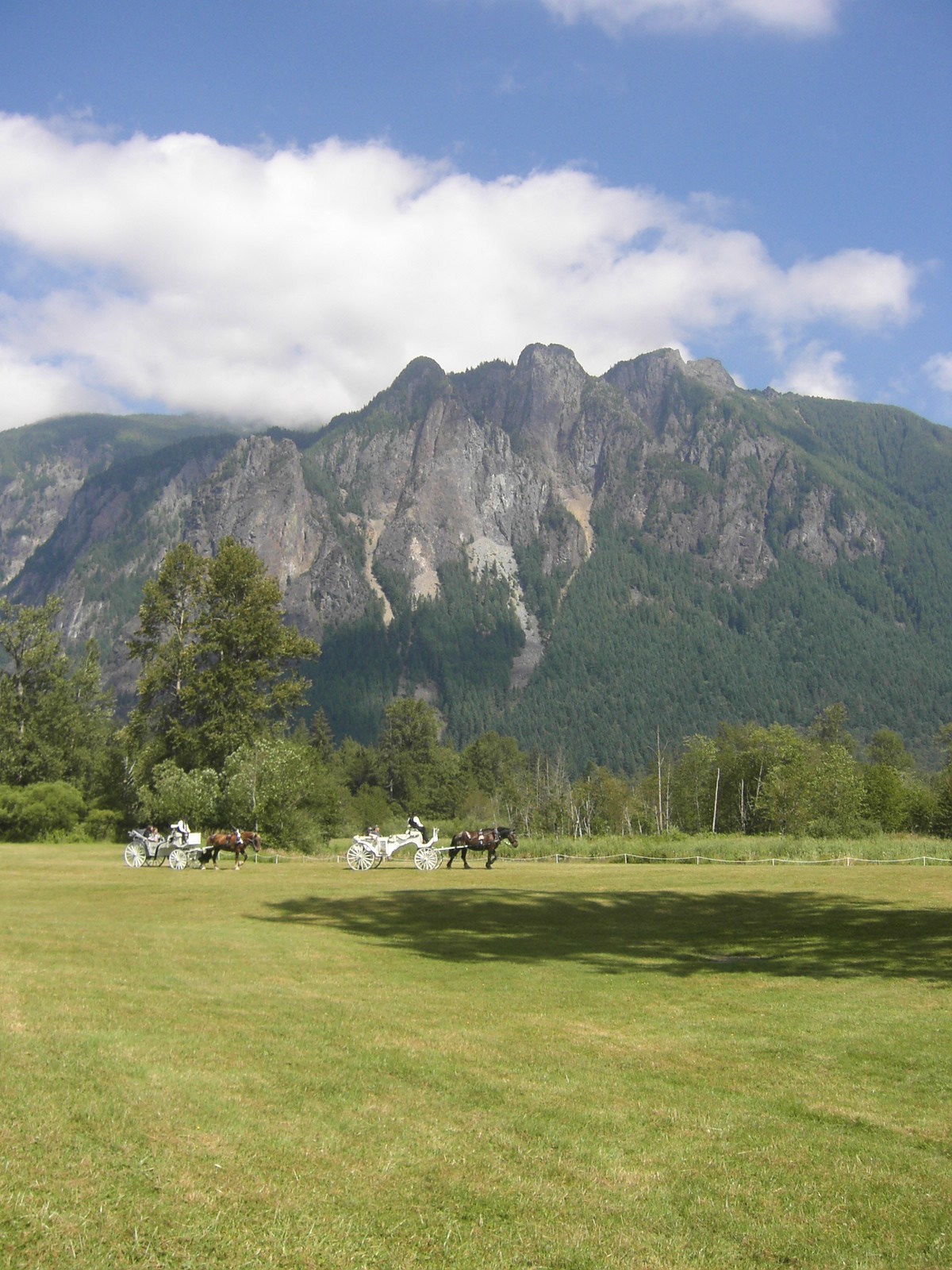 d0172957_2381158.jpg