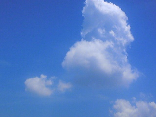 f0139758_15214498.jpg