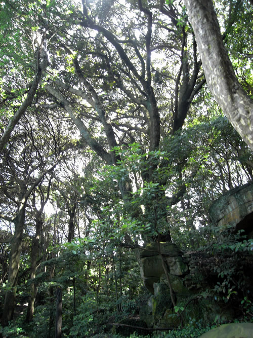 f0238058_10464887.jpg