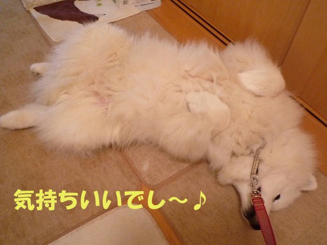 e0176159_1037178.jpg