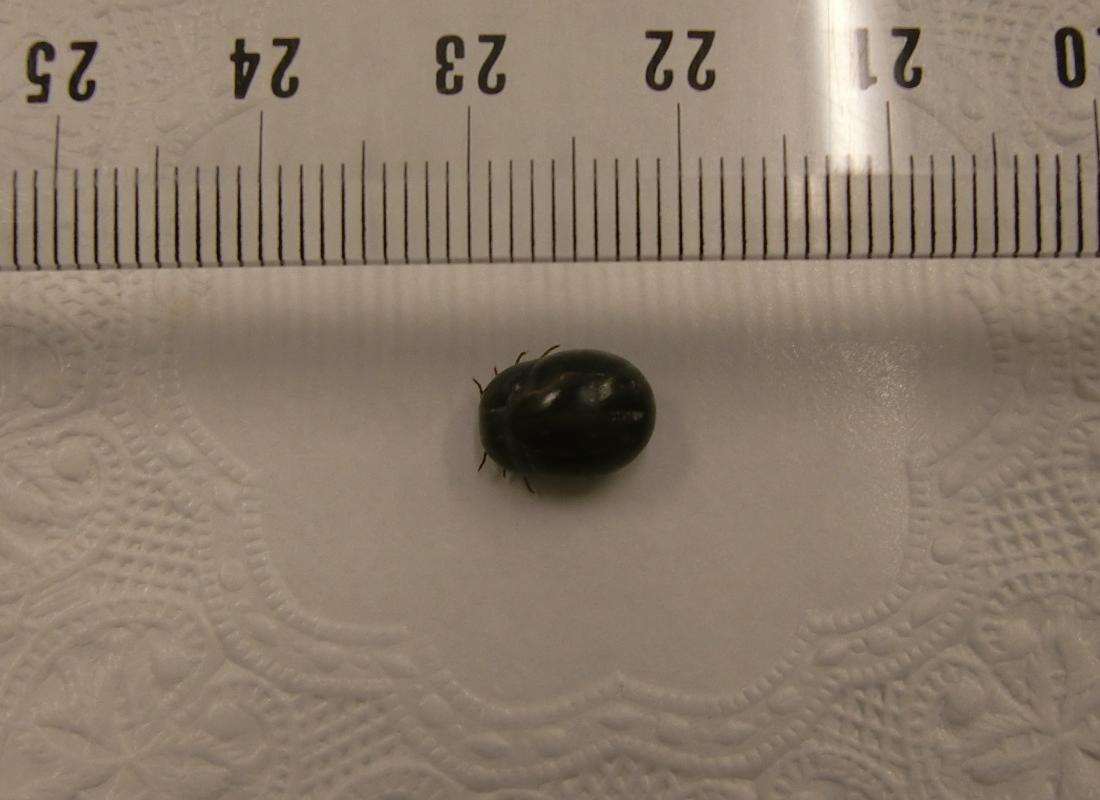 c0140260_23495139.jpg
