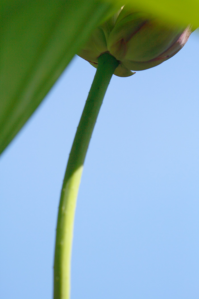 d0148060_141759.jpg