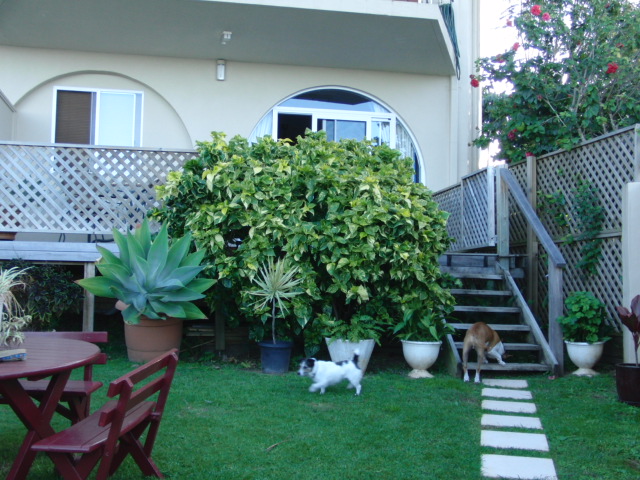 e0171460_20571031.jpg