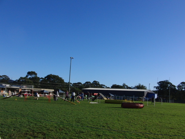 e0171460_20594718.jpg