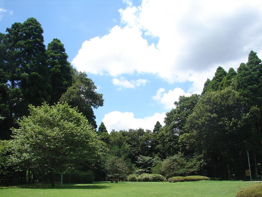 b0061261_2148061.jpg