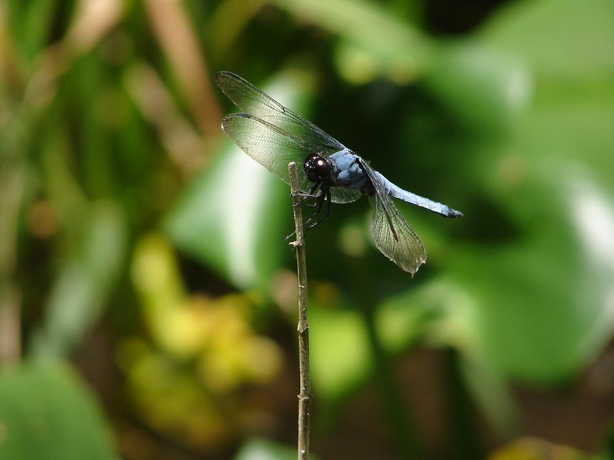 b0061261_2232475.jpg