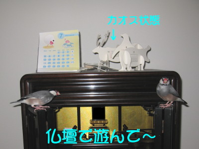 b0158061_22371466.jpg