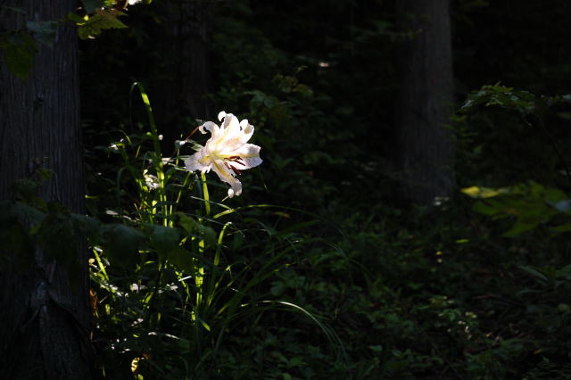 b0167762_18354053.jpg