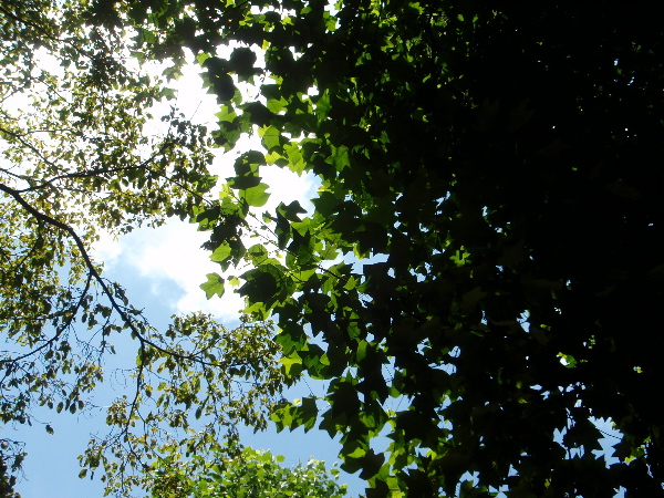 f0060262_21542890.jpg