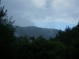 f0055264_217431.jpg