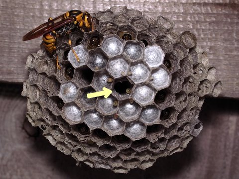 b0130166_121559100.jpg