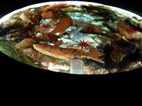 d0048366_1412438.jpg