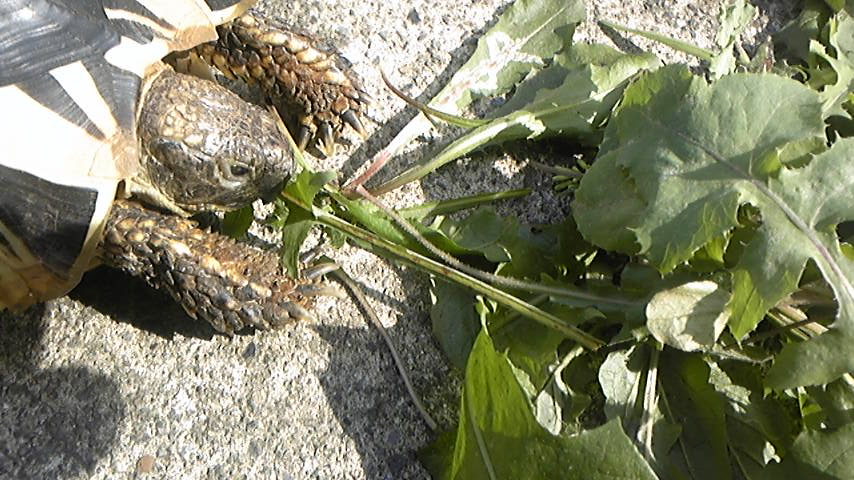 c0202870_9214171.jpg