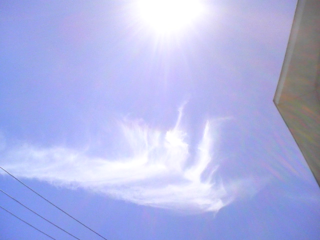 f0123373_9133078.jpg