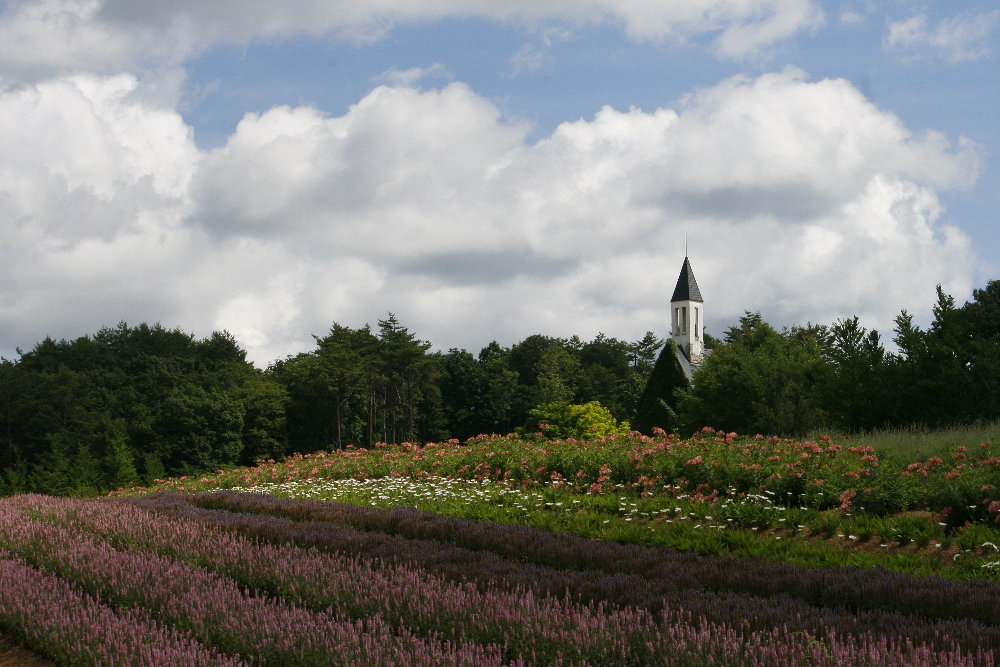 f0181173_9551877.jpg