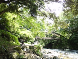 d0041074_12142231.jpg