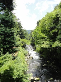 d0041074_12143022.jpg