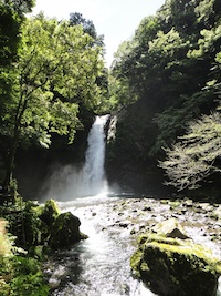 d0041074_1219132.jpg