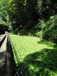 d0041074_12194412.jpg