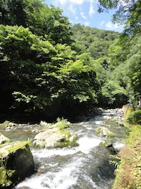 d0041074_12232261.jpg