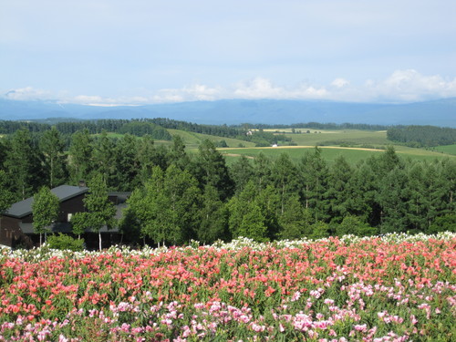 b0117375_23323461.jpg