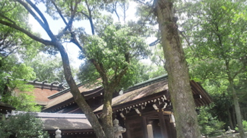 f0054677_8432129.jpg