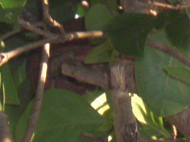 f0190577_10245442.jpg