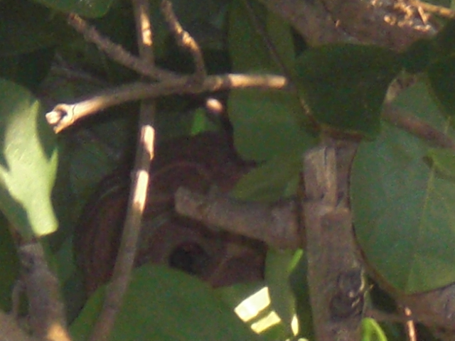 f0190577_10251831.jpg