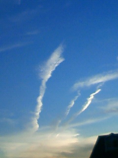 c0135480_1805556.jpg