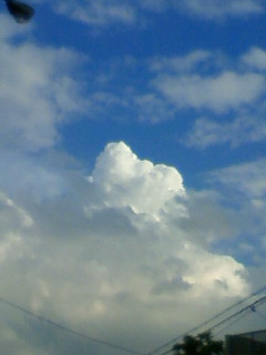 c0135480_1811535.jpg