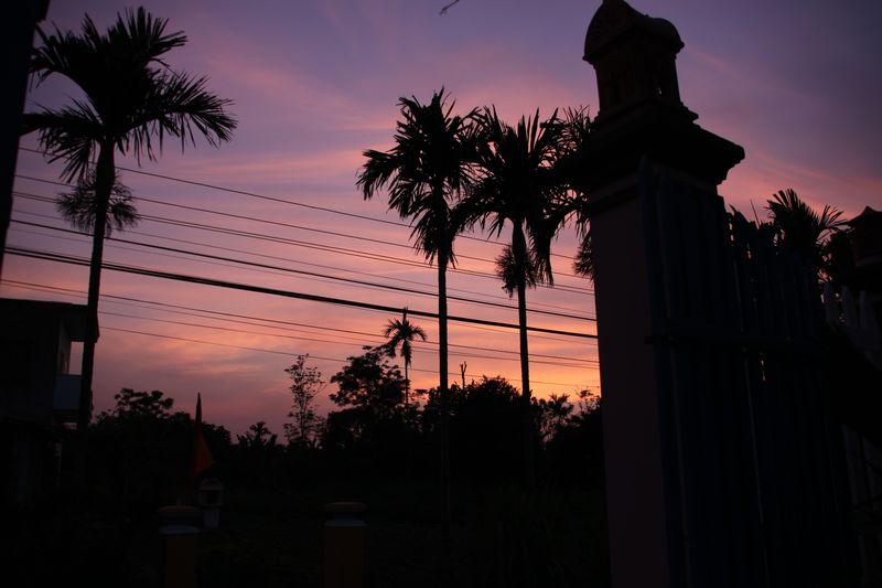 c0148781_19485926.jpg