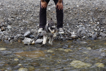 d0137083_017810.jpg