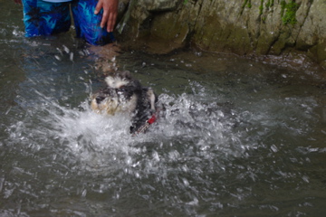 d0137083_0224443.jpg