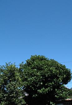 e0130185_15405332.jpg