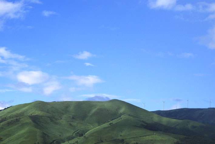 f0112087_2310243.jpg