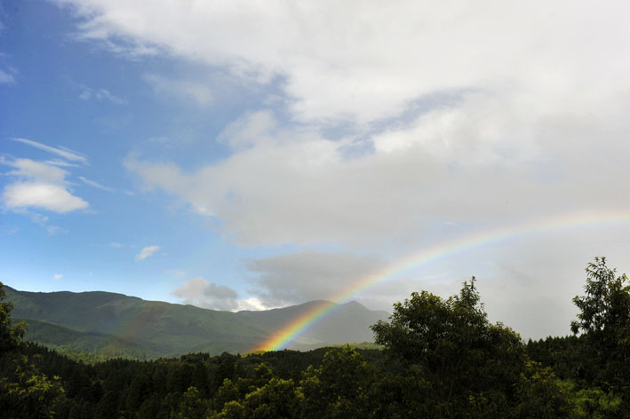 f0112087_23113979.jpg