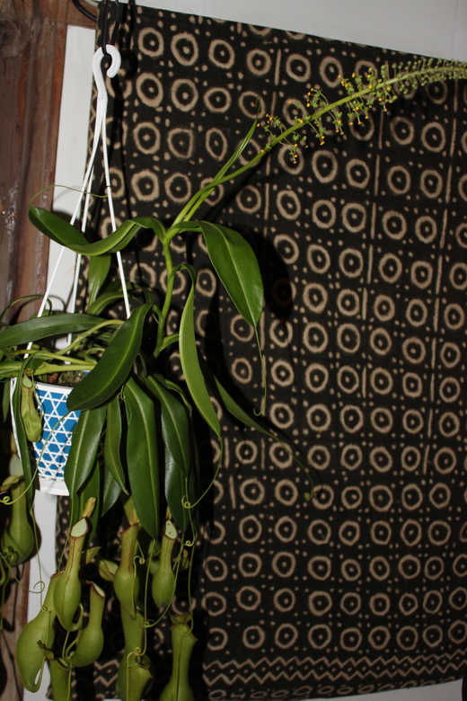 f0138588_12211054.jpg