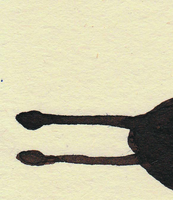 e0125889_10361447.jpg