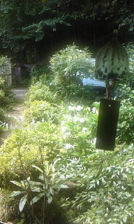 c0189894_1221119.jpg