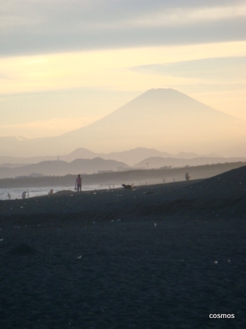 f0137694_834012.jpg