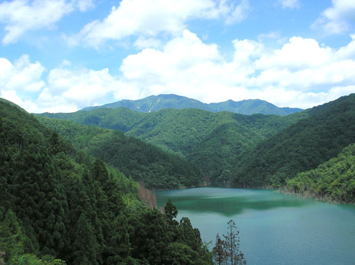 e0083097_854790.jpg